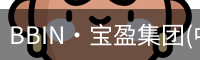 BIN宝盈集团